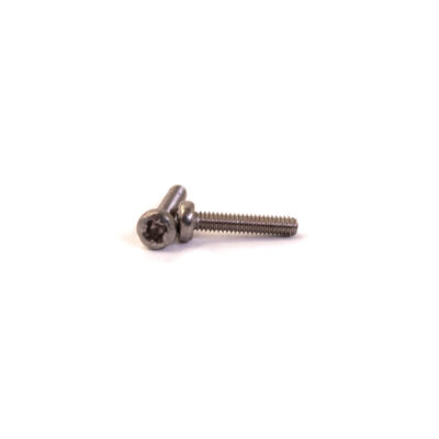 Parafuso Oval M2x10 ISO 7045 - DIN 7985 PZ Aço Inox. A2